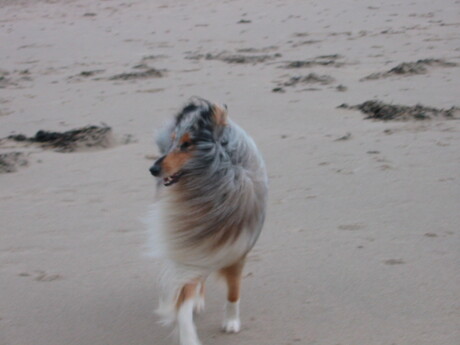 Strandwandeling