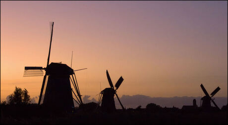 Kinderdijk3