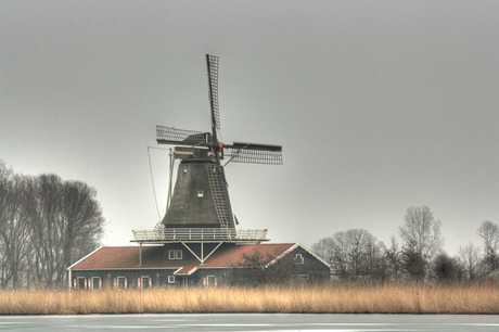 Molen