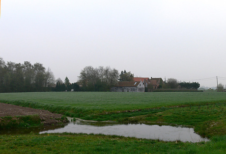 Hoeve