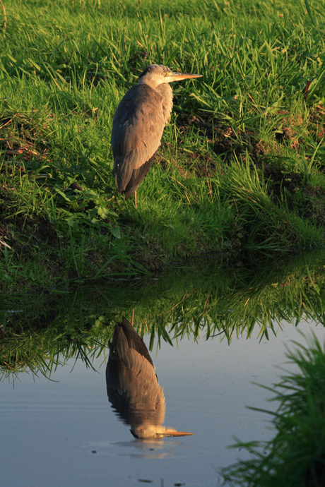 Spiegeltje, Spiegeltje....