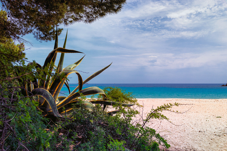 De kust van Sardinië 5