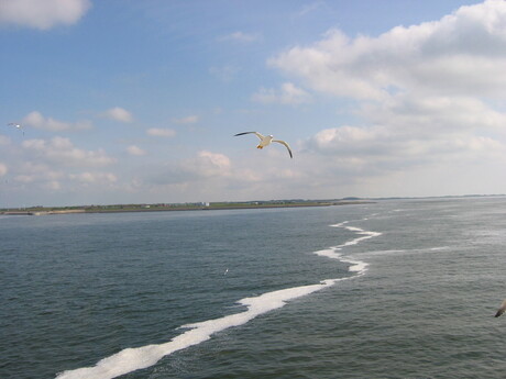 Waddenzee