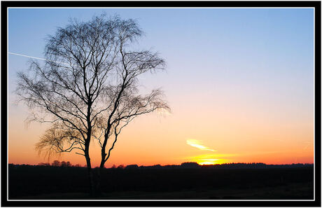 ginkelse heide