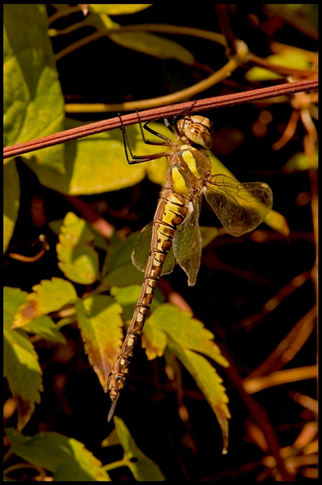 Genieten van het zonnetje....