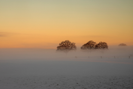 Mistige zonsopgang