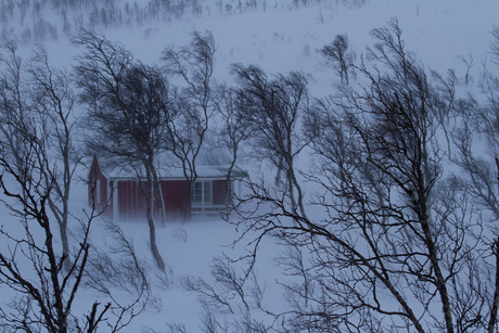 Maartse sneeuwbui op de Lofoten