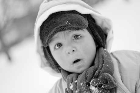 Little Fellow In The Snow