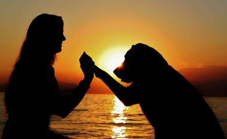 Onvoorwaardelijke liefde!