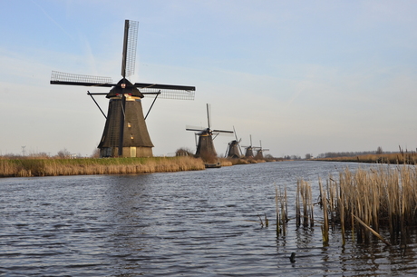 Molens in Kinderdijk