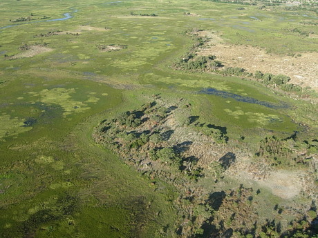 okavango delta