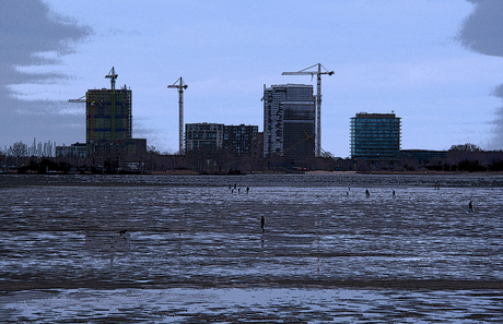 Wadlopen bij Muiderberg