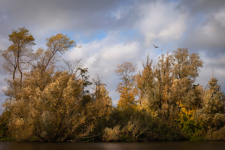 Herfst