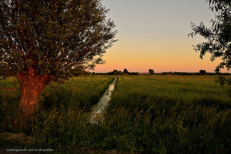 Ondergaande zon in de polder_DSC3498