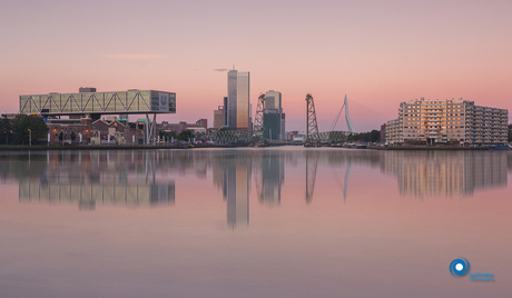 Pink Rotterdam