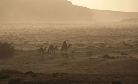 de avond valt over Wadi Rum