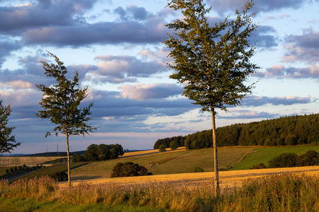 Wolkenstein, Duitsland