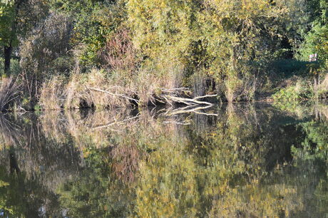 Weerspiegeling