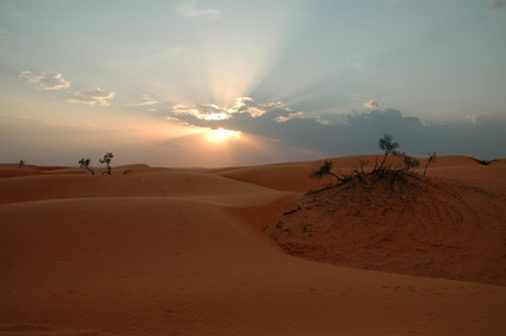 Zonsondergang in woestijn