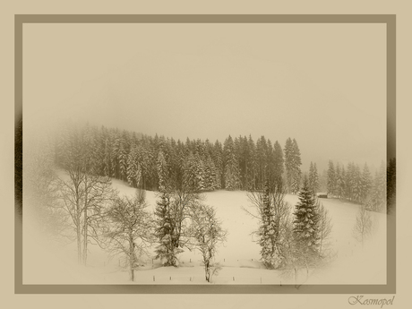 Oostenrijk in de winter