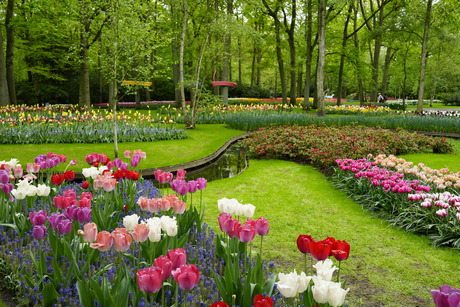 keukenhof