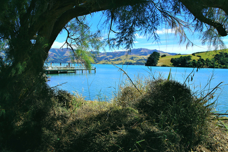 Banks Peninsula, Nieuw Zeeland