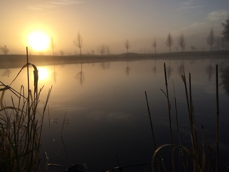 OriginalPhoto-503223848.100195