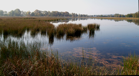 Leersumse veld in de herfst