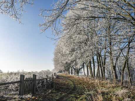 Gulperberg met uitsneeuwende mist