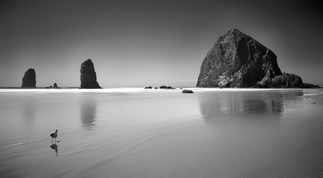 Laag water in Cannon Beach (OR)_
