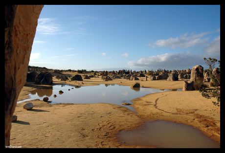 ´The Pinnacles´