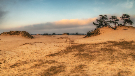 Dutch Desert