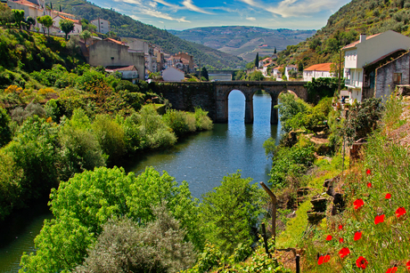 Pinhão Portugal