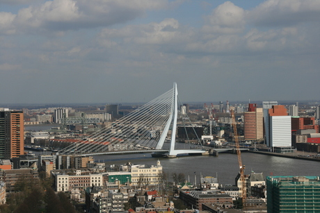 Erasmusbrug