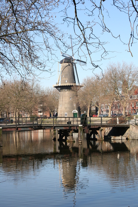 Molen in Schiedam