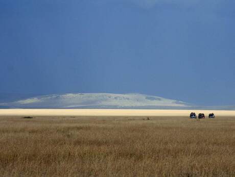 Safari in Kenia