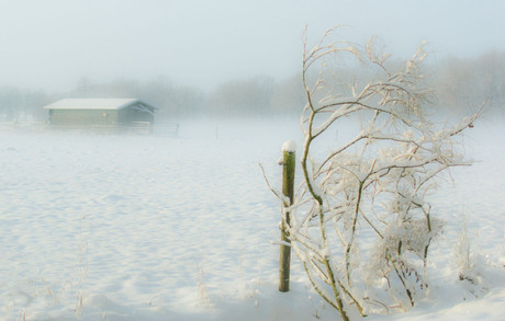 Siberisch koud