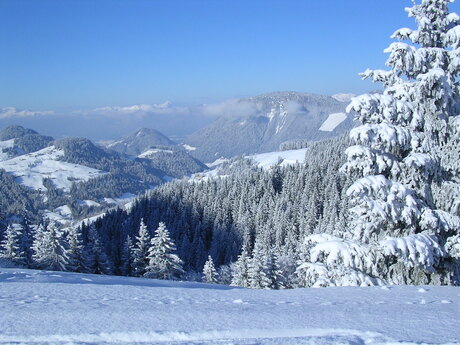 Wintersport 2009