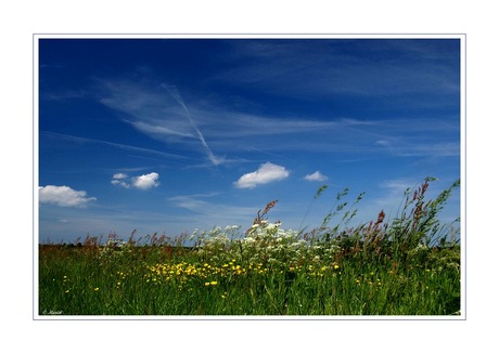 Een beetje zomer..