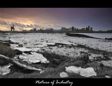 Nature of Industry