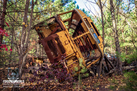 Fallen Bus