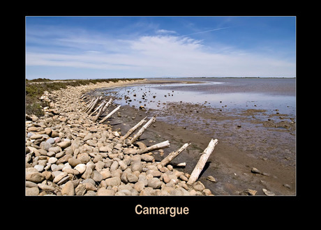 Camargue