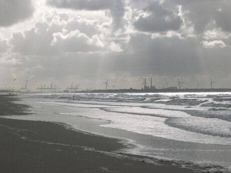 Strand van hoek van holland