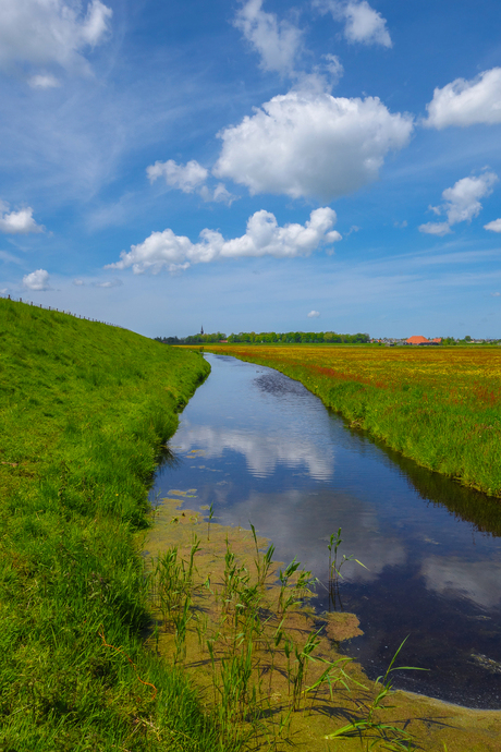 Langs de dijk II