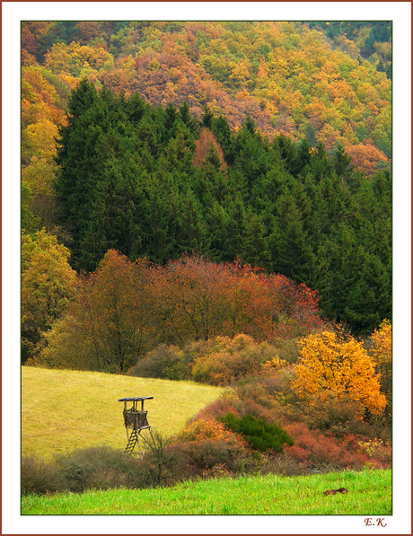 Herfstkleuren.