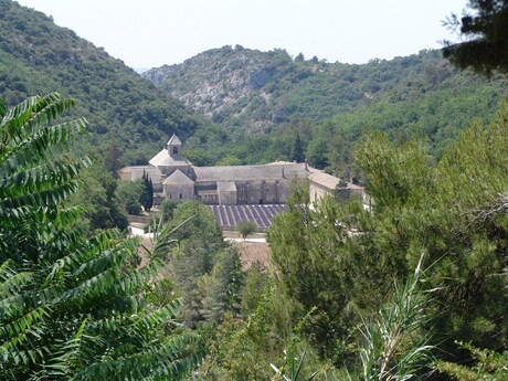 Lavendel klooster.