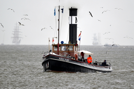 AmFo © 2013 SAIL Den Helder (1).JPG