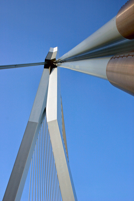 Erasmusbrug Rotterdam