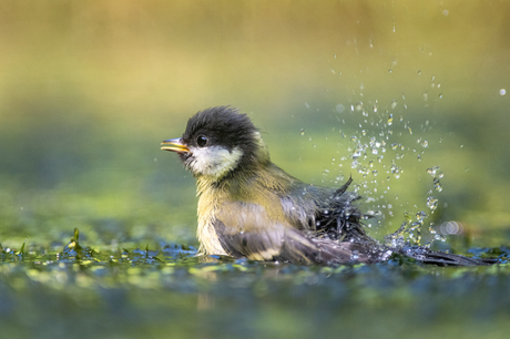 Take it easy and take a bath