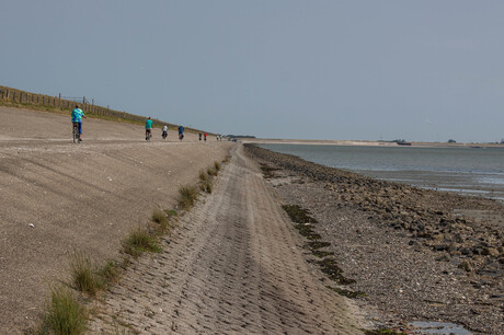 waddenkant